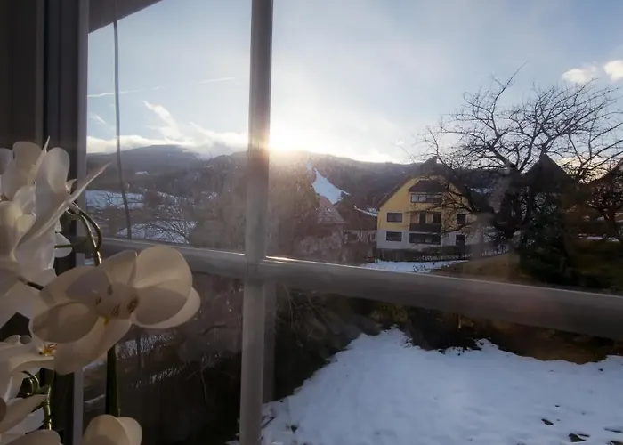 Neuwirthof - Rustikaler Charme Apartment *